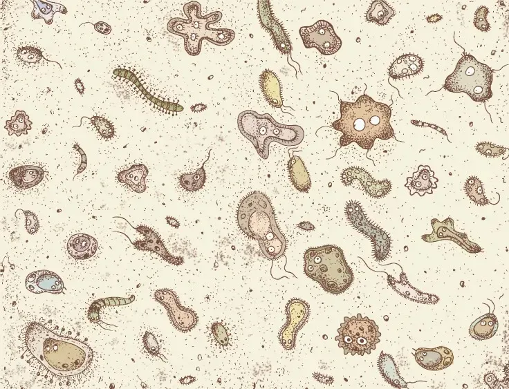 batteri-orali-microbi-patogeni-parodontali-malattie-gengivali