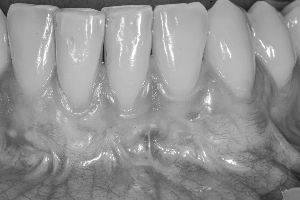 Immagine ravvicinata di un