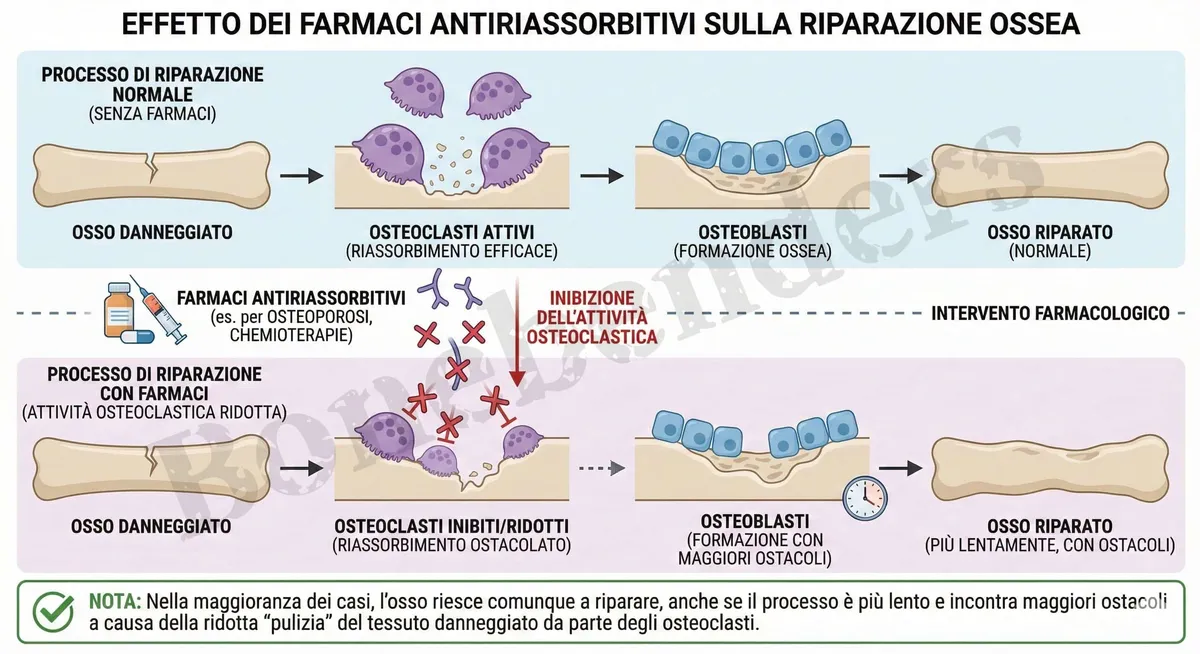 farmaci-contro-losteoporosi-novita-nel-consensus-2025