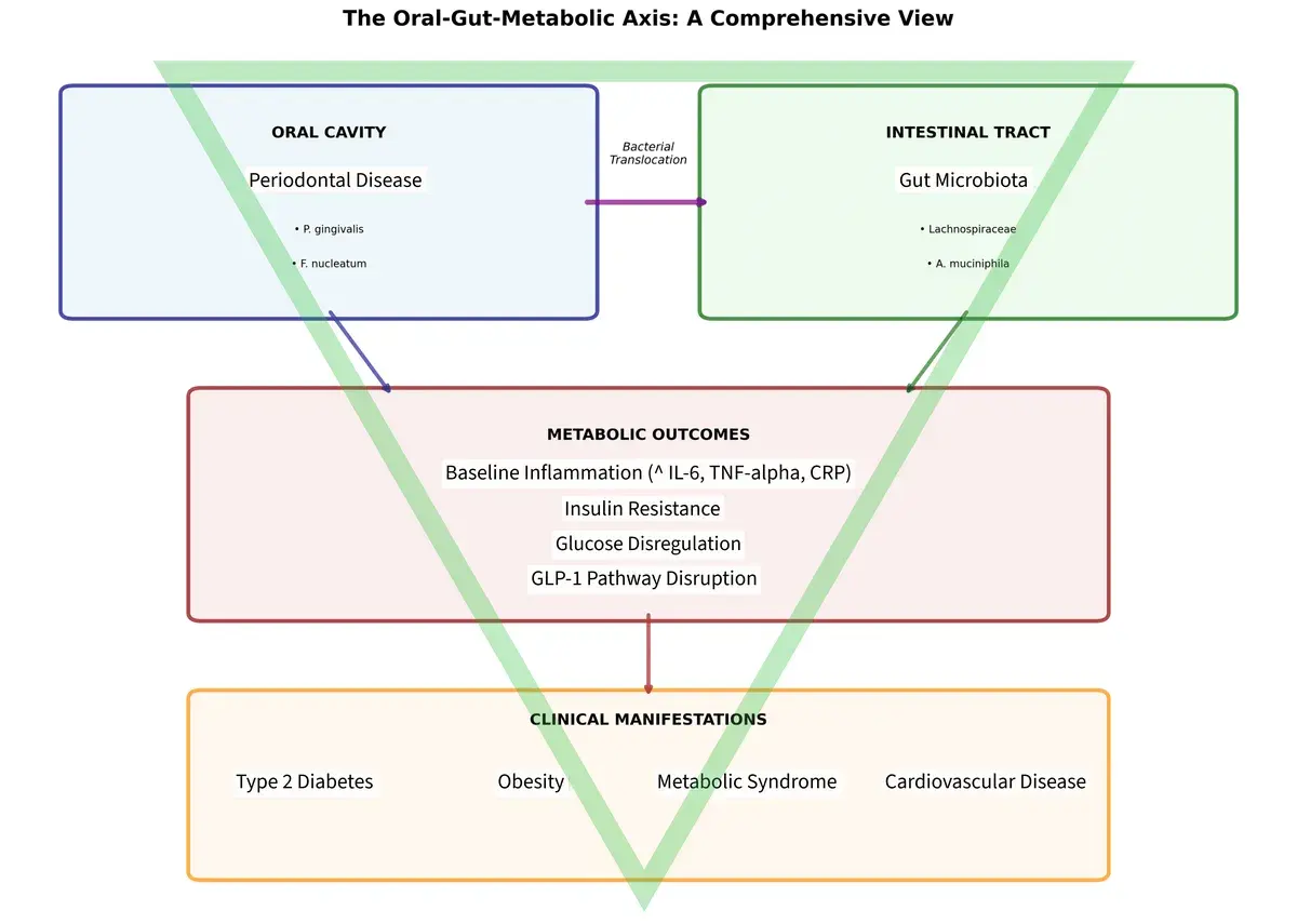 glp-1-obesita-e-parodontite-un-triangolo-pericoloso
