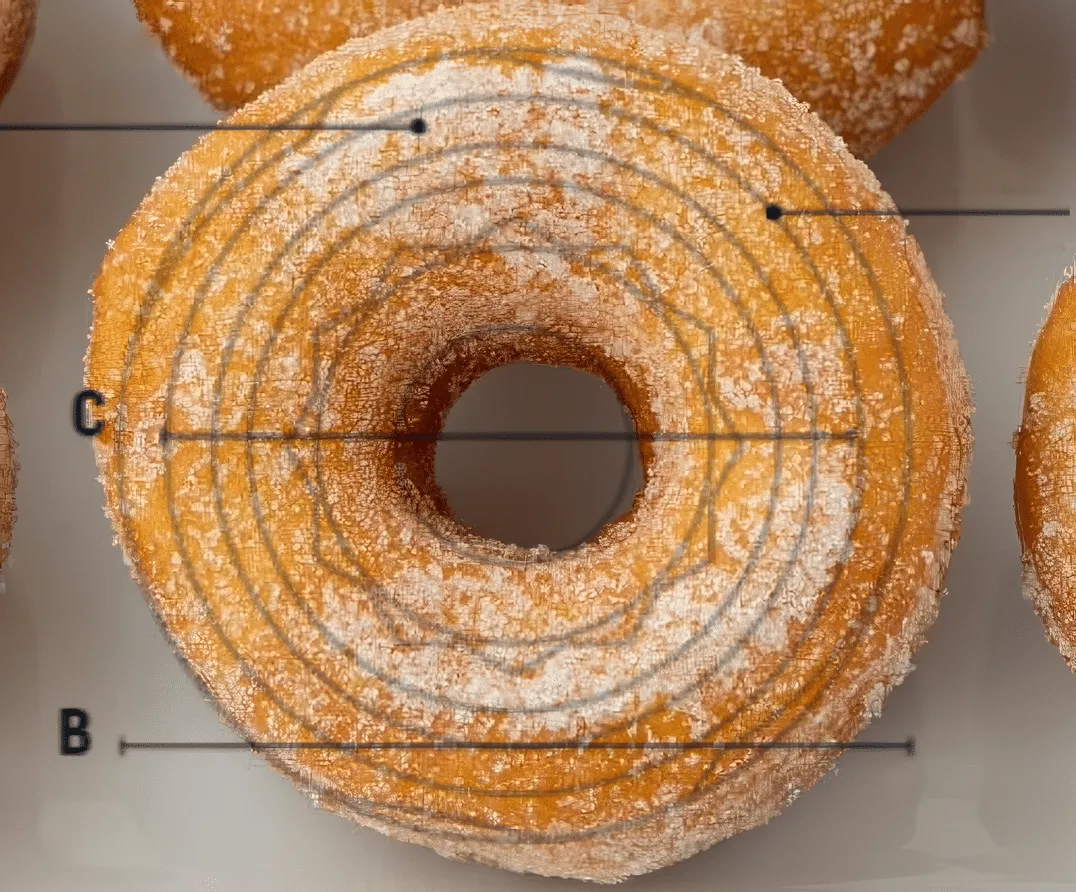 limpianto-e-una-ciambella-elegia-del-foro-buono-e-indolore