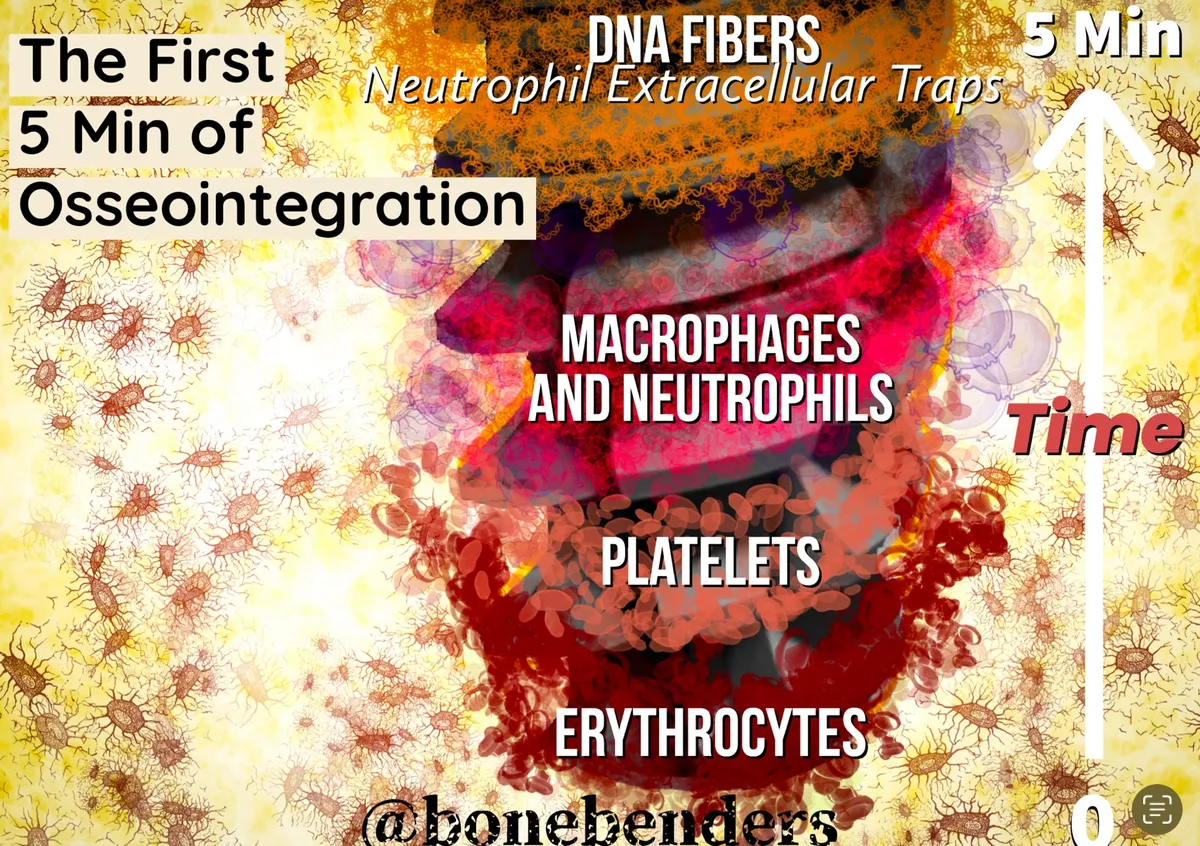sangue_titanio_lamorenascein5minuti