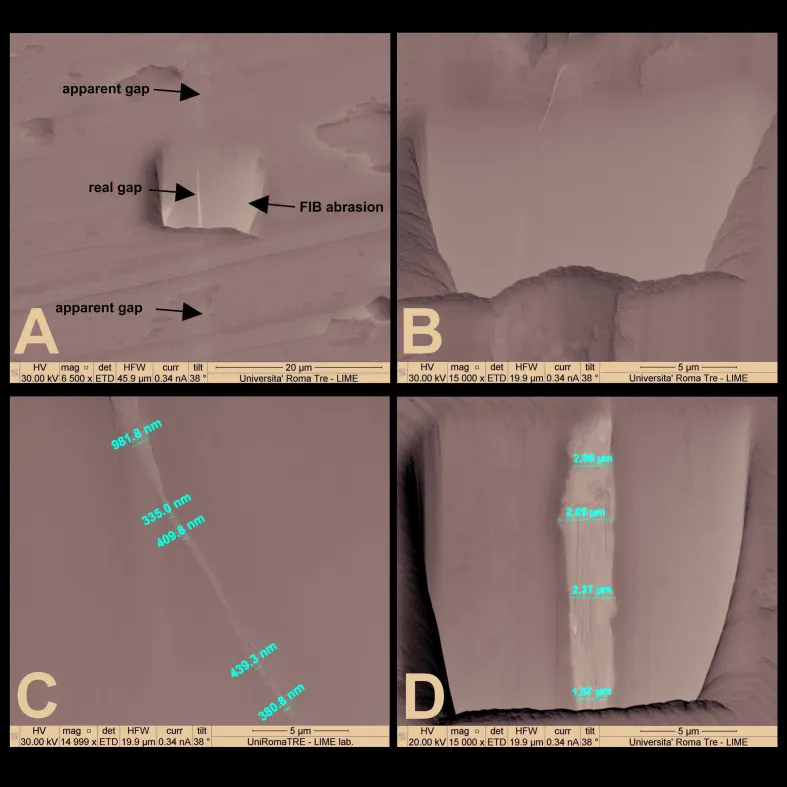 Micrografia SEM con focused ion beam (FIB) del microgap reale alla connessione conica: pannelli A–B mostrano gap apparente vs gap reale, pannelli C–D le misurazioni (335–981 nm). Immagine: Scamontis et al., 2020, Università Roma Tre — CC-BY